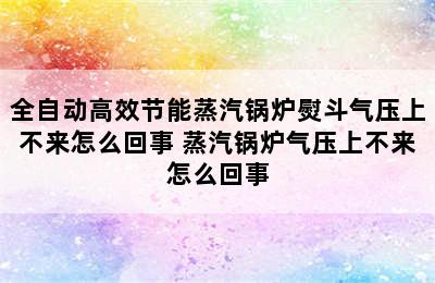 全自动高效节能蒸汽锅炉熨斗气压上不来怎么回事 蒸汽锅炉气压上不来怎么回事